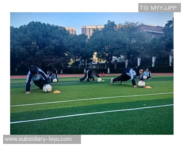 提升足球联赛管理水平的策略与实践探索促进赛事公平与观众体验的双重提升